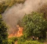 Kύριε υπουργέ, πάρτε θέση! Θα καούμε στη Σαλαμίνα