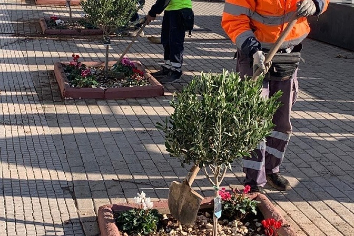 Πειραιάς: Φυτεύσεις εποχικών λουλουδιών και αναπλάσεις πρασίνου