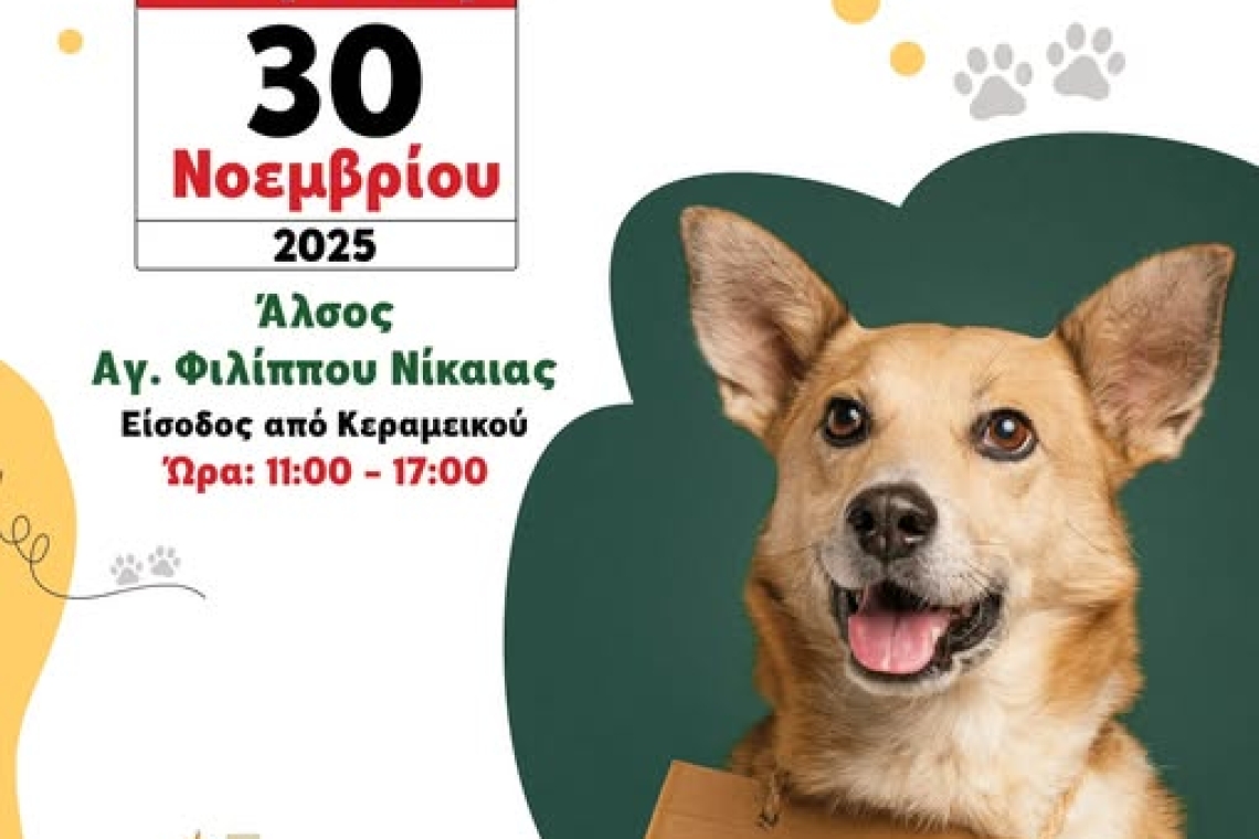 Άλσος Αγ. Φιλίππου Νίκαιας: Ημέρα Υιοθεσίας αδέσποτων ζώων
