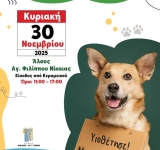 Άλσος Αγ. Φιλίππου Νίκαιας: Ημέρα Υιοθεσίας αδέσποτων ζώων