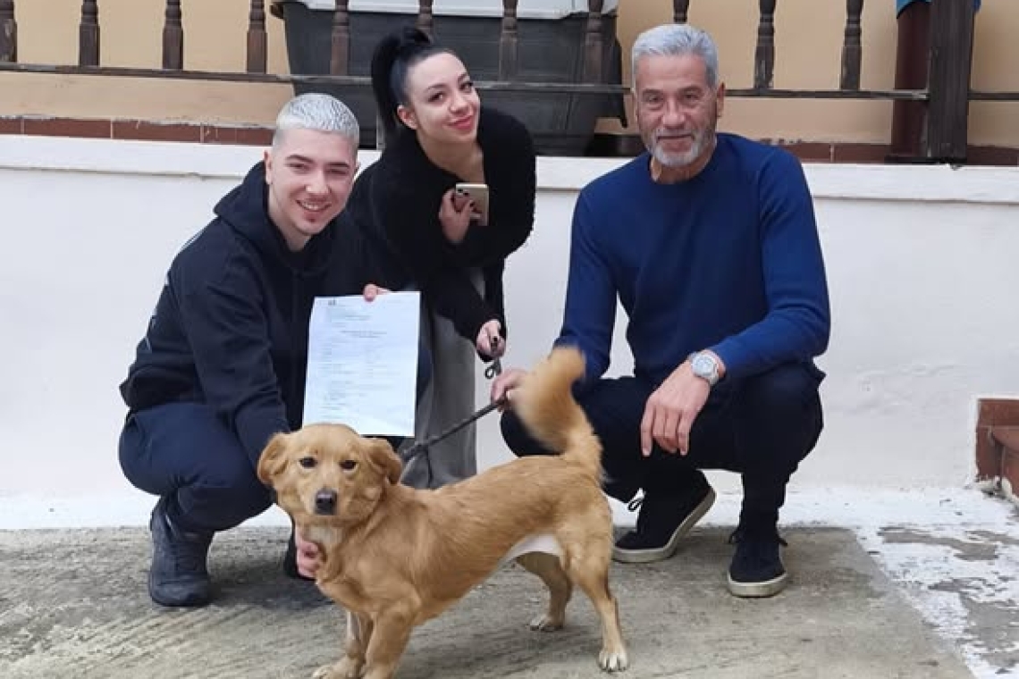 ΔΙΚΕΠΑΖ: Υιοθεσίες που σκορπίζουν χαμόγελα