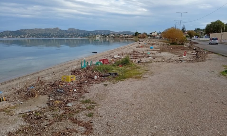 Σαλαμίνα: Απαράδεκτη ολιγωρία της δημοτικής αρχής!