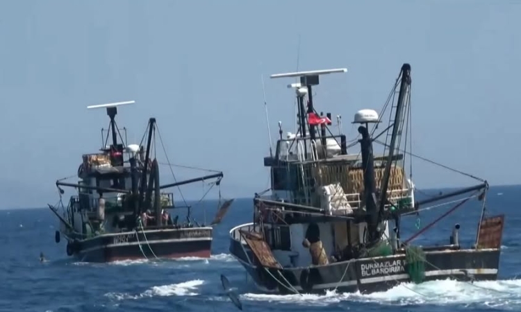 Μέχρι τα Κύθηρα ψαρεύουν ανενόχλητα τα τουρκικά αλιευτικά 