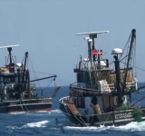 Μέχρι τα Κύθηρα ψαρεύουν ανενόχλητα τα τουρκικά αλιευτικά 