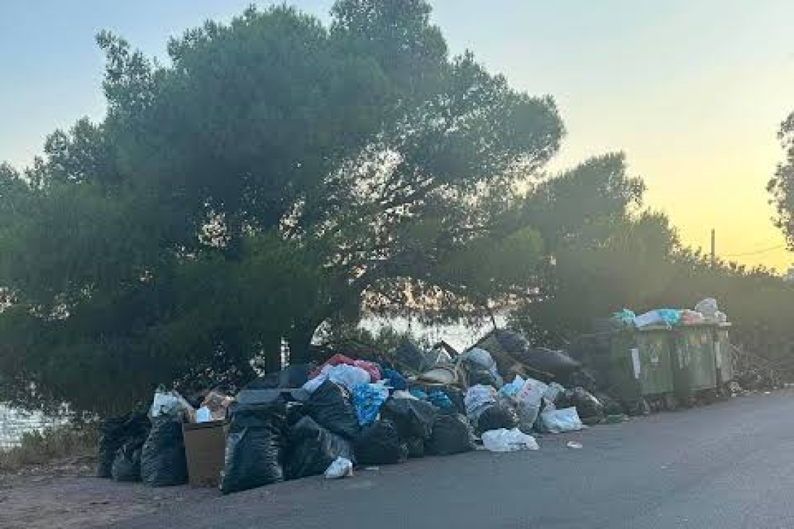 Σαλαμίνα: "Καρφώνει" ο Υπουργός Κλιματικής Κρίσης τον Δήμαρχο για τις χωματερές δίπλα στα δάση