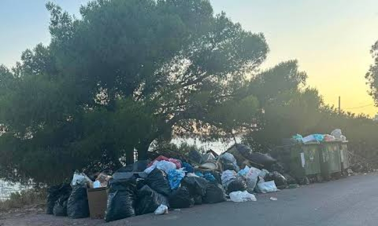 Σαλαμίνα: 