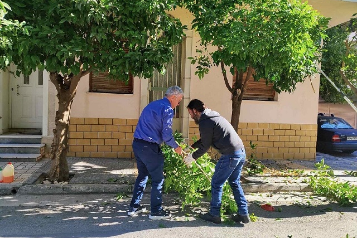 Νίκαια-Αγ.Ι.Ρέντης: Οργανωμένο πρόγραμμα κλαδεμάτων σε όλη την πόλη 