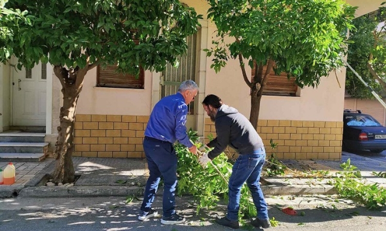 Νίκαια-Αγ.Ι.Ρέντης: Οργανωμένο πρόγραμμα κλαδεμάτων σε όλη την πόλη 