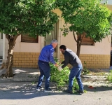 Νίκαια-Αγ.Ι.Ρέντης: Οργανωμένο πρόγραμμα κλαδεμάτων σε όλη την πόλη 